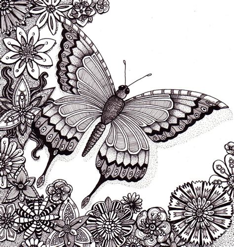 nice butterfly coloring page  adults butterfly coloring pages