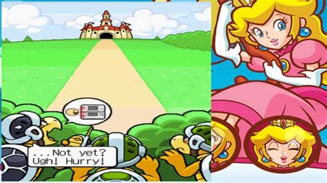 ~birthday Special~ Ds Super Princess Peach 000 Mario