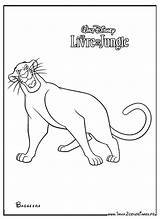 Bagheera Coloriages Panthere sketch template