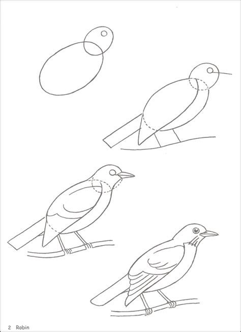 How To Draw Birds Dover Publications 9780486472409