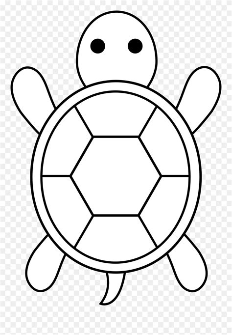 cartoon sea turtle drawing clipart  pinclipart