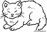 Coloring Cat Kids Kittens Pages Printable Color sketch template