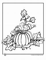 Pumpkin Patch Coloring Pages Halloween Clipart Drawings Kids Print Library Popular sketch template