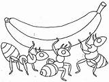 Ant Cliparts Drawing Kids Coloring sketch template