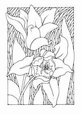 Coloring Tulips Large Edupics sketch template