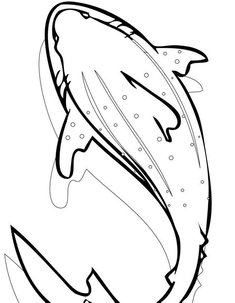 printable shark coloring pages  kids whale coloring pages leaf