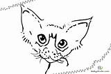 Katzenkopf Malvorlage Babyduda Ausmalbild Malbuch sketch template