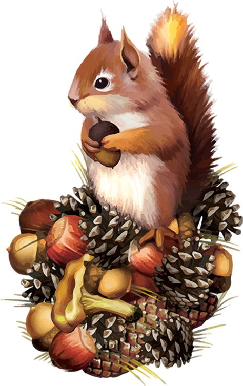high quality fall clipart squirrel transparent png images