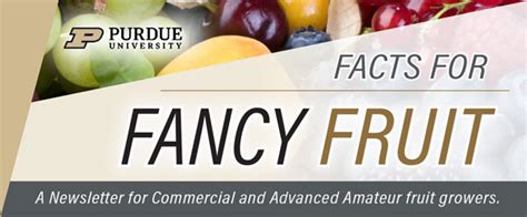 Purdue University Facts For Fancy Fruit