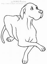 Dane Great Drawing Lineart Deviantart Pages Dog Line Outline Coloring Danes Drawings Anbu Choose Board Puppy Shepherd German Template sketch template