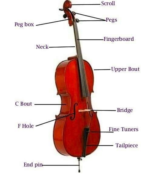 parts   cello cello  cello cello lessons