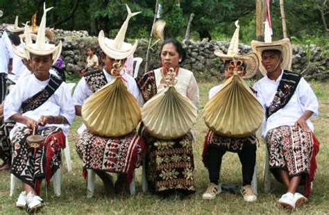 budaya nusa tenggara timur  colour  indonesia