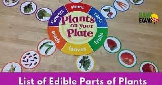 list  edible parts  plants  version bank exams today