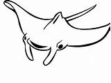 Manta Ray Coloring Pages Outline Drawing Clipart Printable Getdrawings Getcolorings Clipartmag Color sketch template