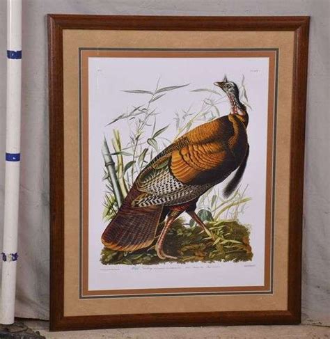 large framed print wild turkey by john j audubon 1054 208 r h