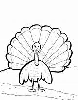 Coloring Turkey Printable Pages 2550 June Posted Size sketch template