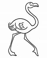 Ausmalbilder Flamingos Imprimir Flamencos Kleurplaat Colorir Caminhando Kleurplaten Malen Ausmalbild Dibujar Coloringtop Printen Tudodesenhos Schablonen Divertidos Bunte Silke Honkingdonkey sketch template