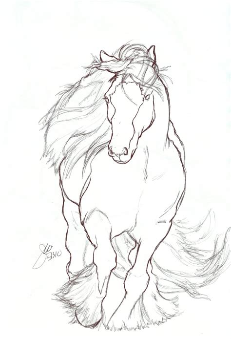 horse drawing  drawing