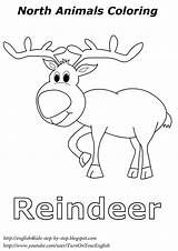 Animals Coloring Arctic Pages Reindeer Animal Winter Worksheets Christmas Children English Esl North Colouring Step Songs Preschool Kids Activities Song sketch template