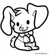 Bunny Coloring Rabbit Easter Pages Bunnies Cartoon Rabbits Draw Color Clipart Easy Drawing Colouring Sitting Lovely Clipartbest Print Popular Drawings sketch template