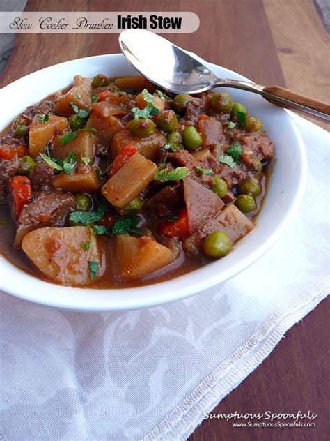 slow cooker drunken irish stew ~ sumptuous spoonfuls