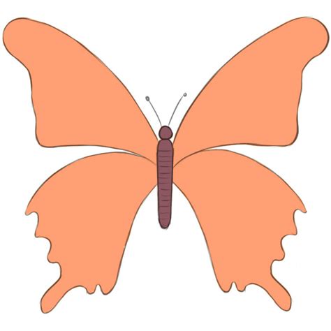 easy drawing ideas butterfly