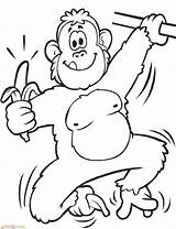 Mewarnai Sketsa Hewan Lucu Coloriage Monyet Binatang Banane Chimpanze Marimewarnai Dessin Kumpulan Paud Anjing Rara Diwarnai Kera Terlengkap Imprimer Nussa sketch template