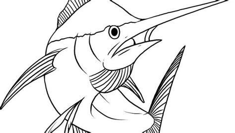 tuna fish coloring page  getcoloringscom  printable colorings