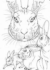 Watership Down Lineart Efrafa Ladyfiszi Deviantart Deviant sketch template