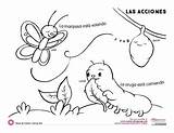 Coloring Pages Verbs Action Monarca Language Spanish Actions sketch template