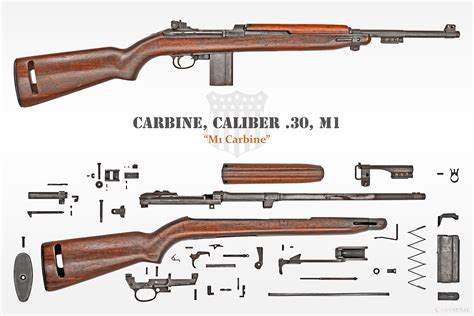 anatomy  rifle  carbine crsenal