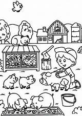 Bauernhof Fahrzeuge Tiere Kostenlose Malvorlage Traktor Zeichnung Stoff Kostenloseausmalbilder sketch template