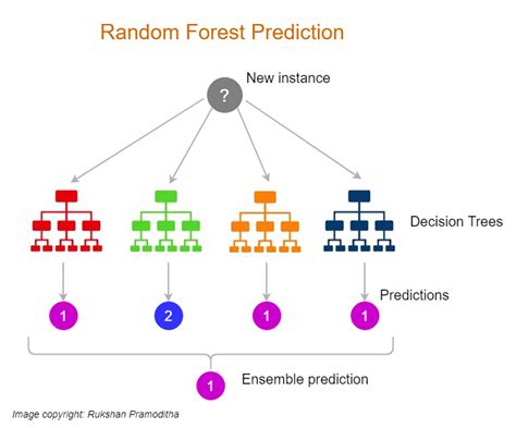 random forest algorithm  machine learning