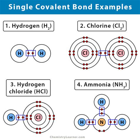 single covalent bond definition  examples