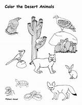 Desert Coloring Pages Print Color Kids Animals Plants sketch template