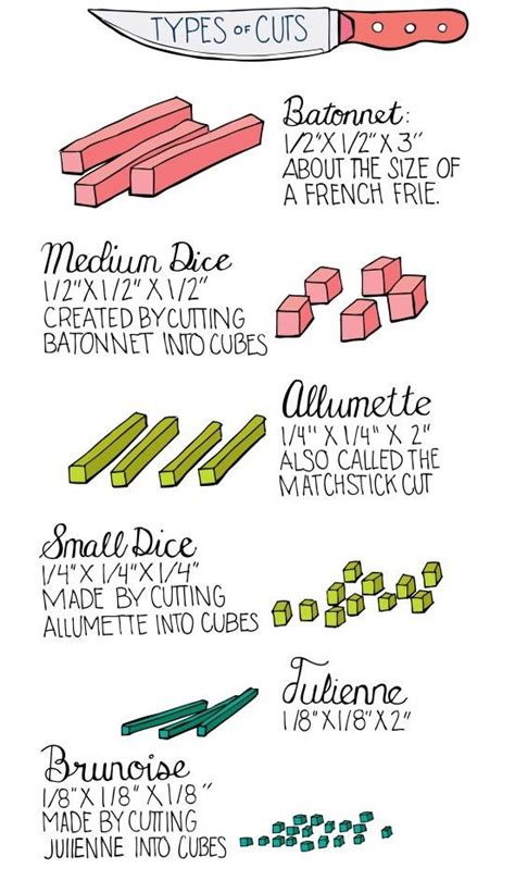 basic knife cuts infographic  illustrated bites http