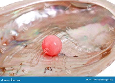 pink pearl stock image image  decoration souvenir