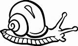 Snail Clipart Outline Cliparts Clipground Clipartmag sketch template