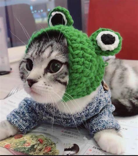 green knitted yarn frog hat  cat  samll animal small  etsy canada