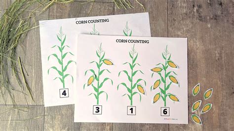 corn counting preschool activity  printable  places  kids