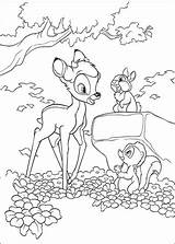 Bambi Klopfer Blume Ausmalbild sketch template