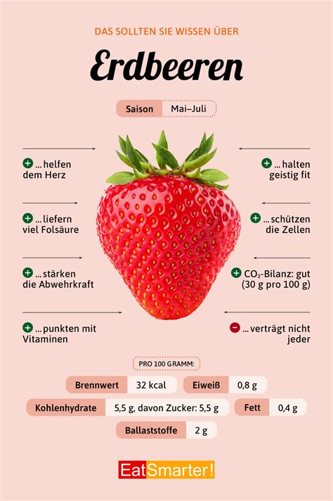 erdbeeren infos tipps eat smarter
