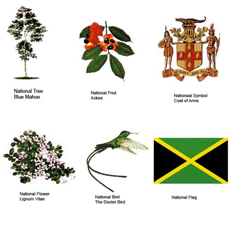 national symbols  jamaican