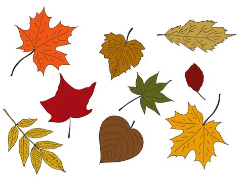 colored fall leaves printables