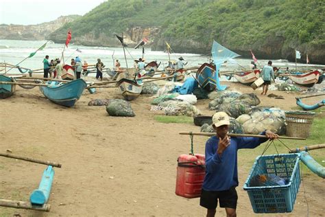 Nelayan Pantai Baron Panen Ikan Panduan Informasi Dan