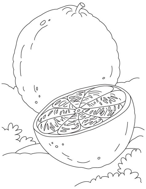 oranges coloring pages learn  coloring