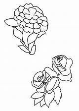 Coloring Flower Pages Different Two Roses Clipartqueen sketch template