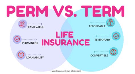 term  permanent life insurance    difference wealth nation