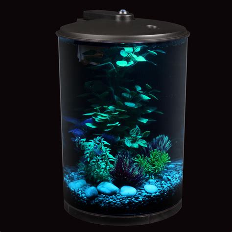 gallon  view aquarium kit  led lighting  filtration fish