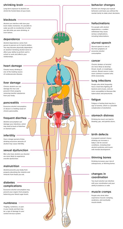 effects  alcohol   body